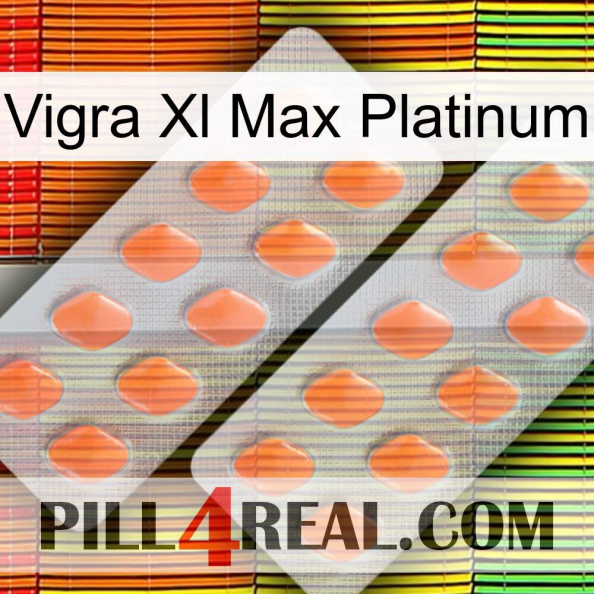 Vigra Xl Max Platinum 27.jpg